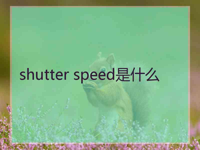 shutter speed是什么