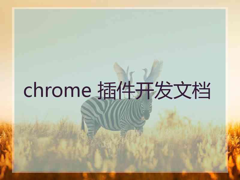 chrome 插件开发文档