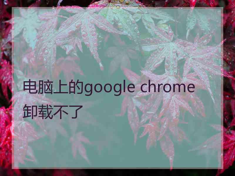 电脑上的google chrome卸载不了