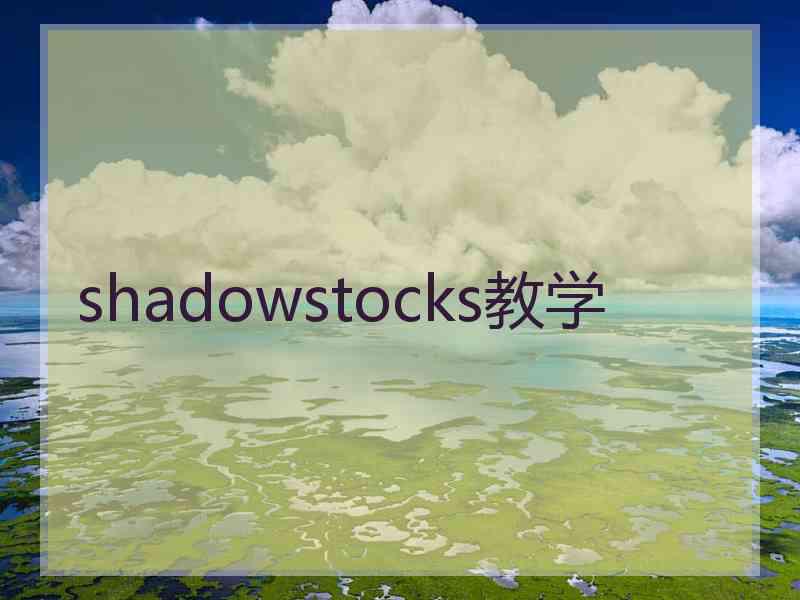 shadowstocks教学