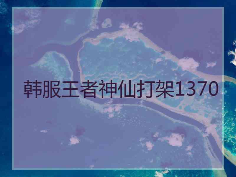 韩服王者神仙打架1370