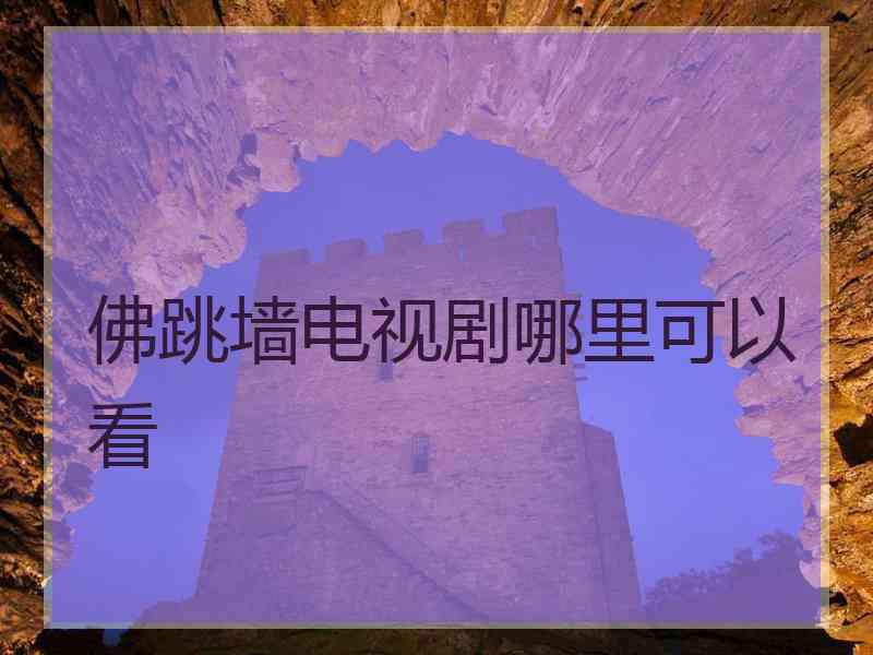佛跳墙电视剧哪里可以看
