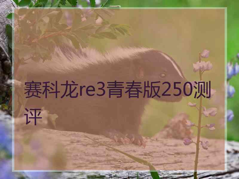 赛科龙re3青春版250测评