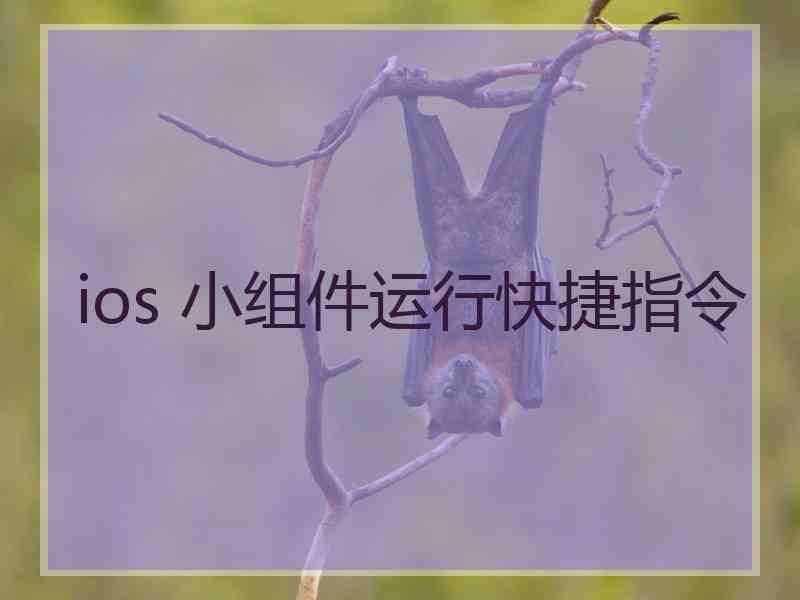 ios 小组件运行快捷指令