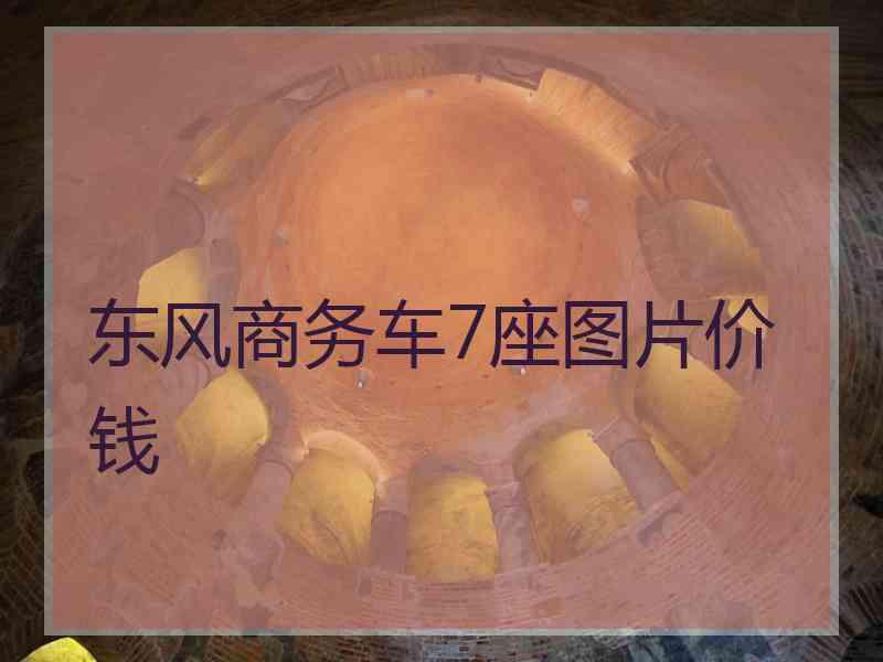 东风商务车7座图片价钱