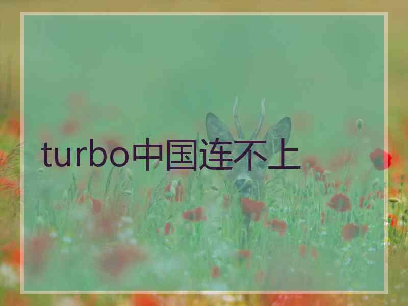 turbo中国连不上