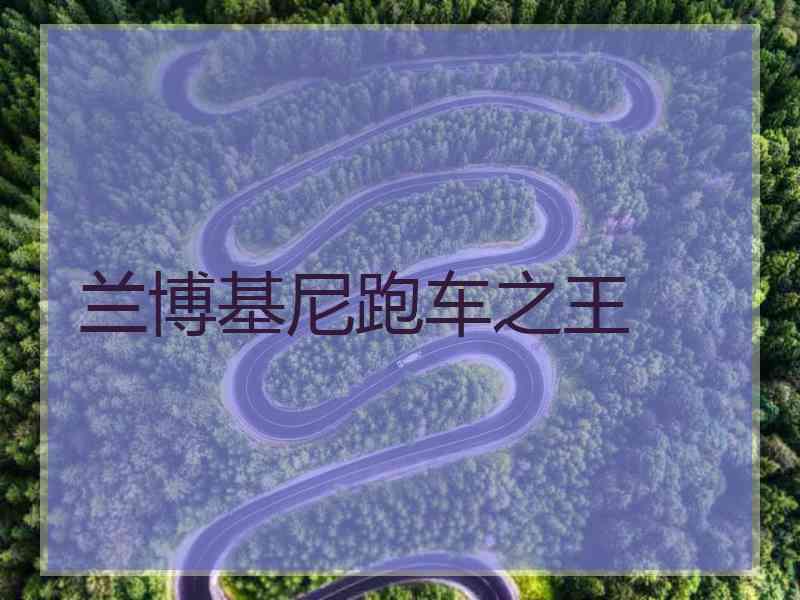 兰博基尼跑车之王