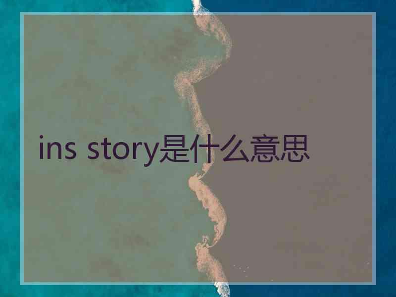 ins story是什么意思