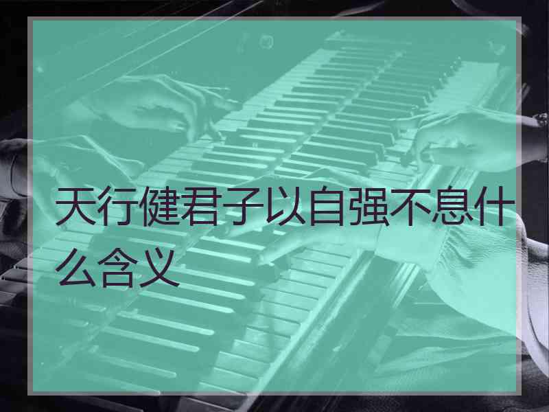 天行健君子以自强不息什么含义