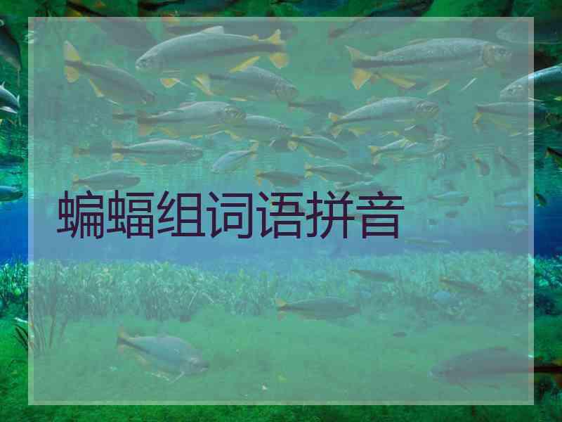 蝙蝠组词语拼音
