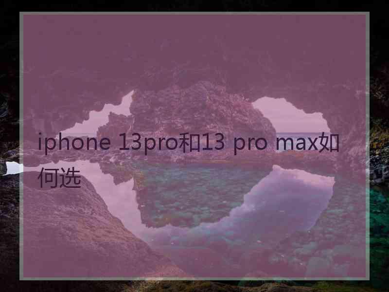 iphone 13pro和13 pro max如何选
