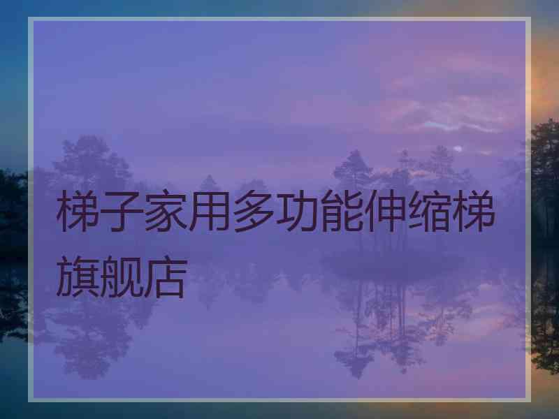 梯子家用多功能伸缩梯旗舰店