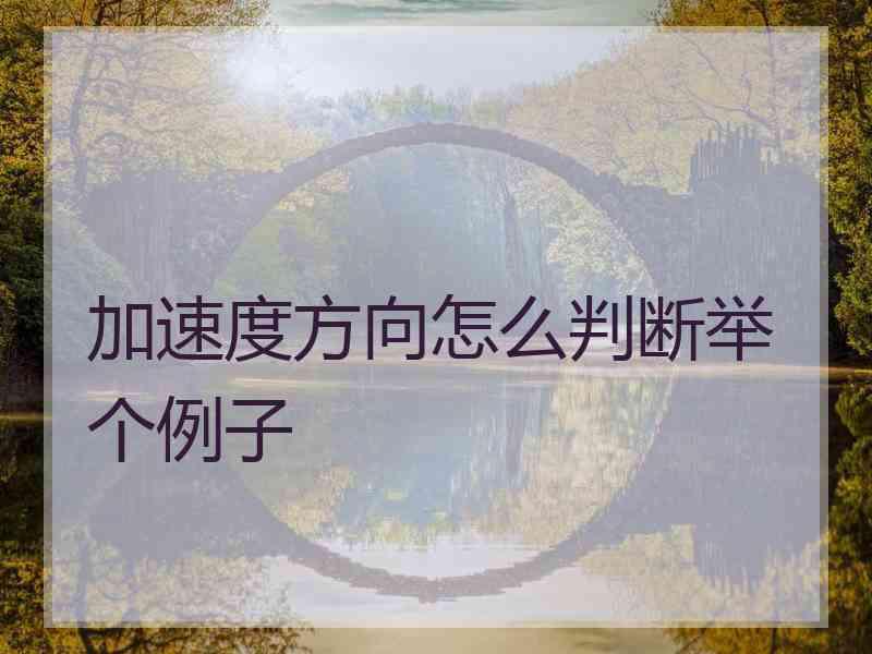 加速度方向怎么判断举个例子