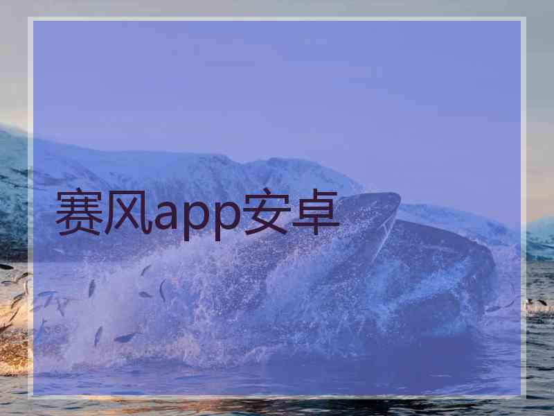 赛风app安卓