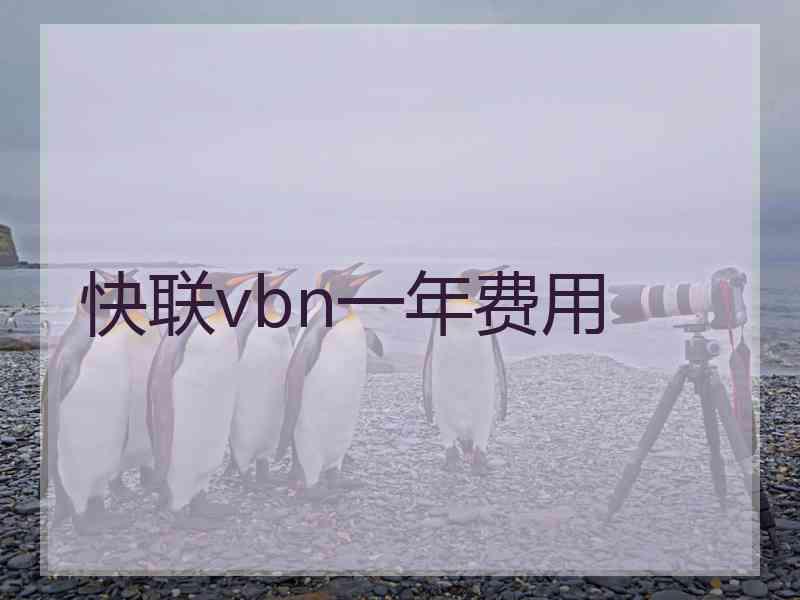 快联vbn一年费用