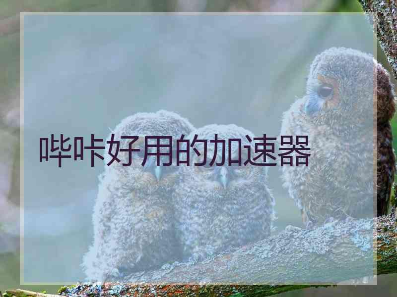 哔咔好用的加速器