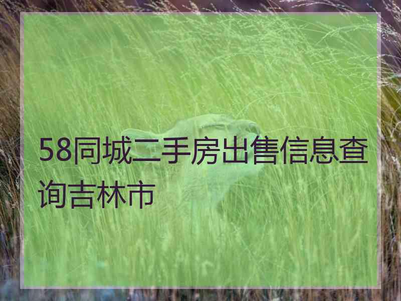 58同城二手房出售信息查询吉林市