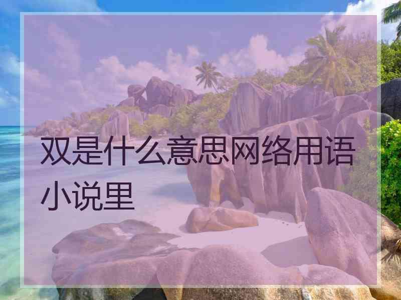 双是什么意思网络用语小说里