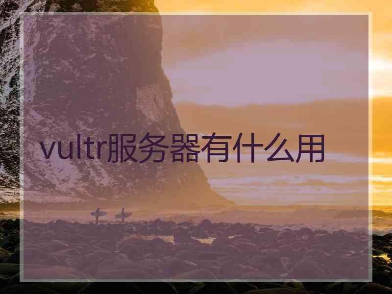 vultr服务器有什么用