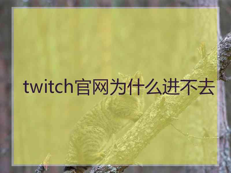 twitch官网为什么进不去