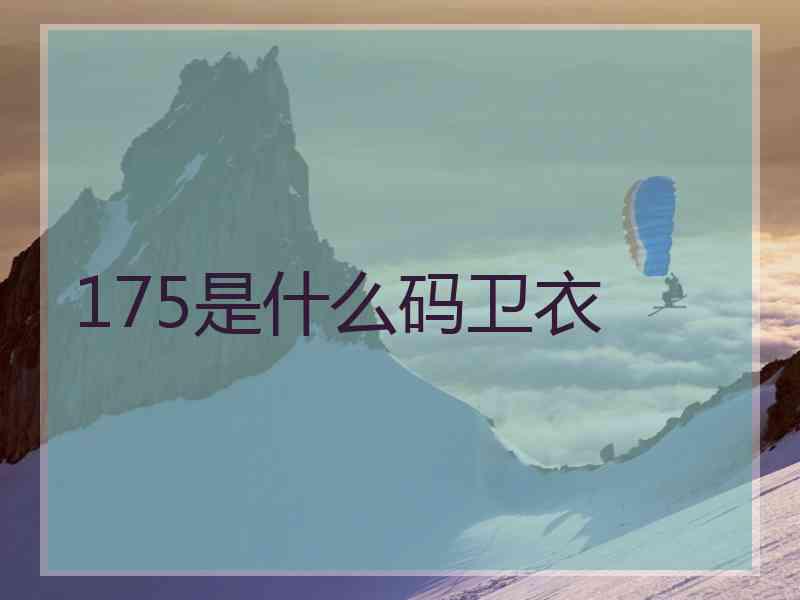 175是什么码卫衣