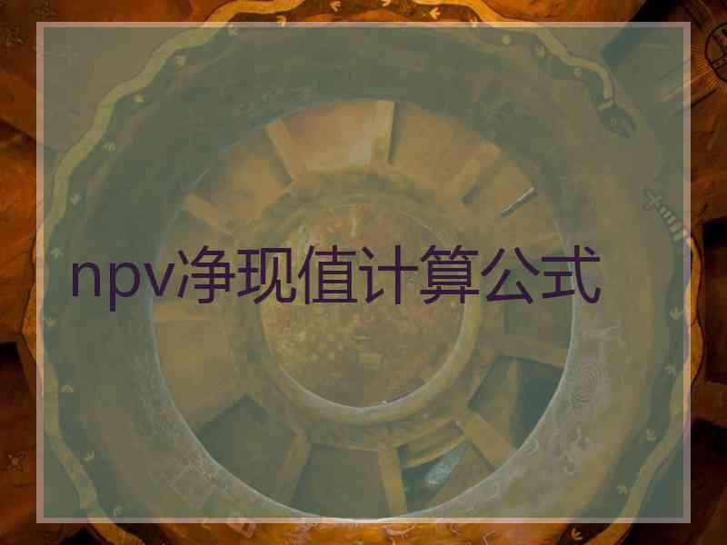 npv净现值计算公式