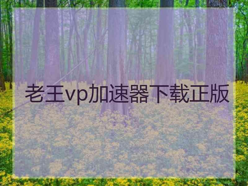老王vp加速器下载正版