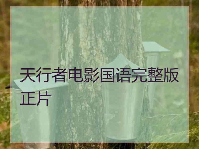 天行者电影国语完整版正片