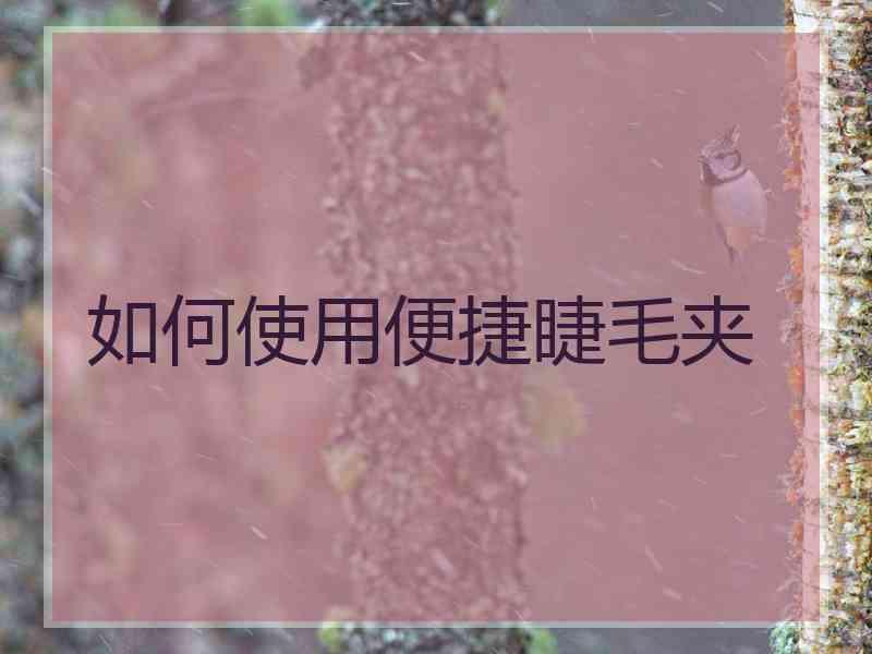 如何使用便捷睫毛夹