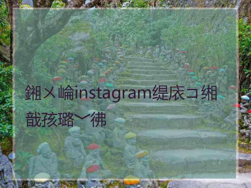 鎺ㄨ崘instagram缇庡コ缃戠孩璐﹀彿
