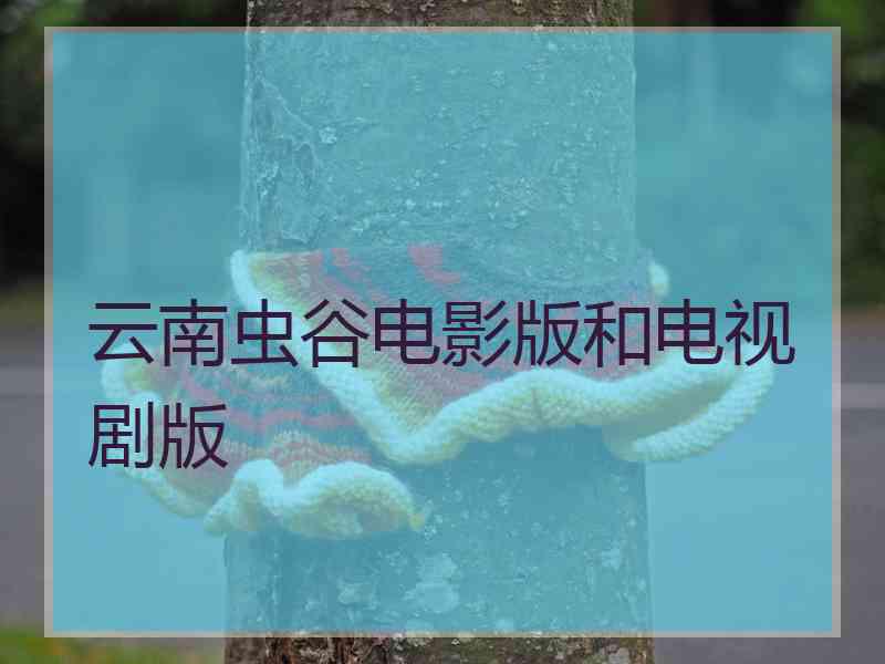 云南虫谷电影版和电视剧版