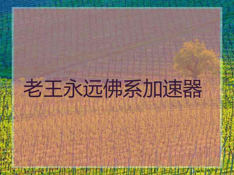 老王永远佛系加速器