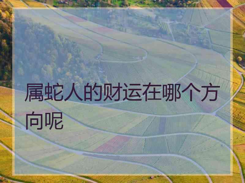 属蛇人的财运在哪个方向呢