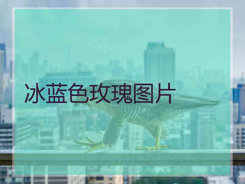 冰蓝色玫瑰图片