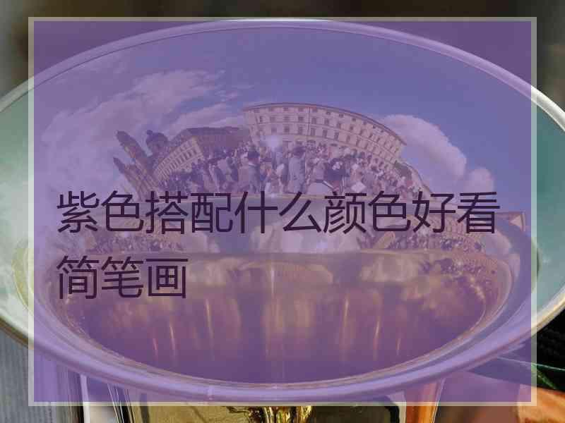 紫色搭配什么颜色好看简笔画