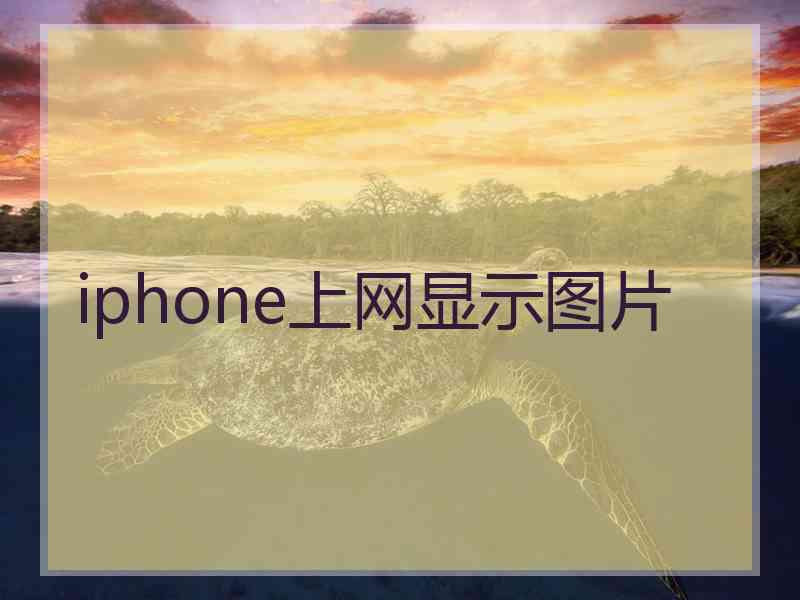 iphone上网显示图片