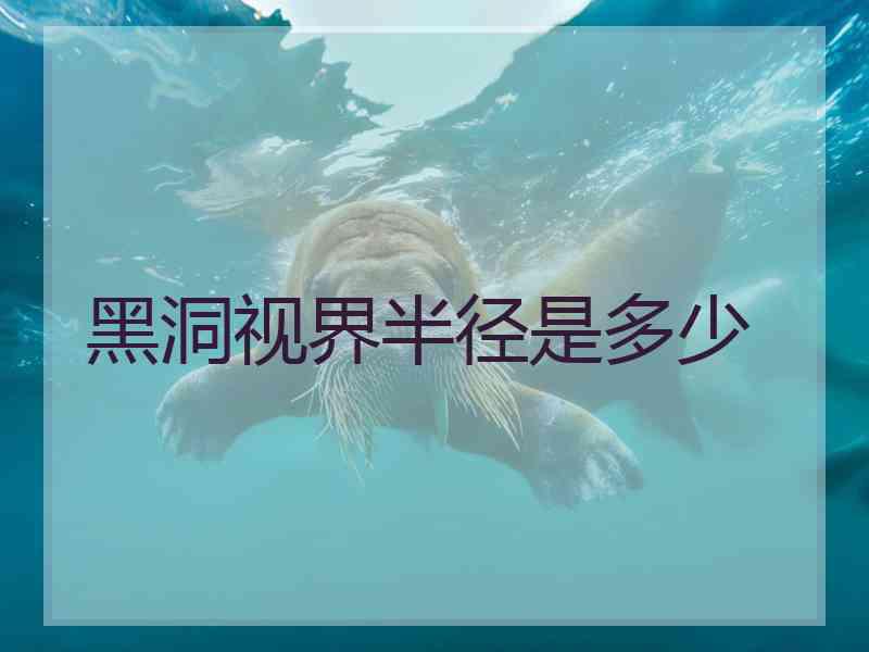黑洞视界半径是多少
