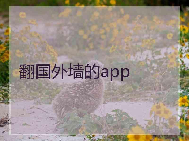 翻国外墙的app