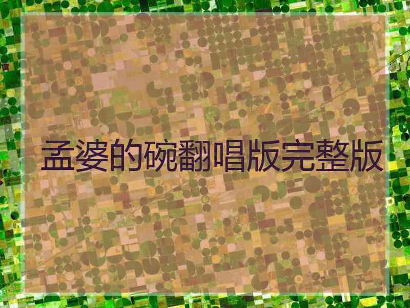 孟婆的碗翻唱版完整版
