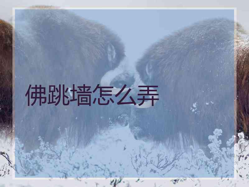 佛跳墙怎么弄