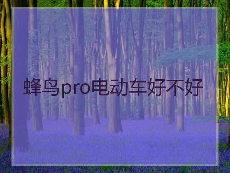 蜂鸟pro电动车好不好